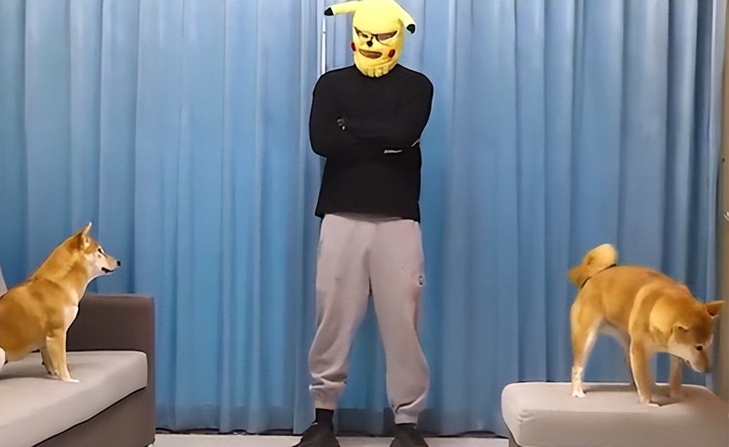 哆哆同学戏耍狗子,哆啦a梦同学会