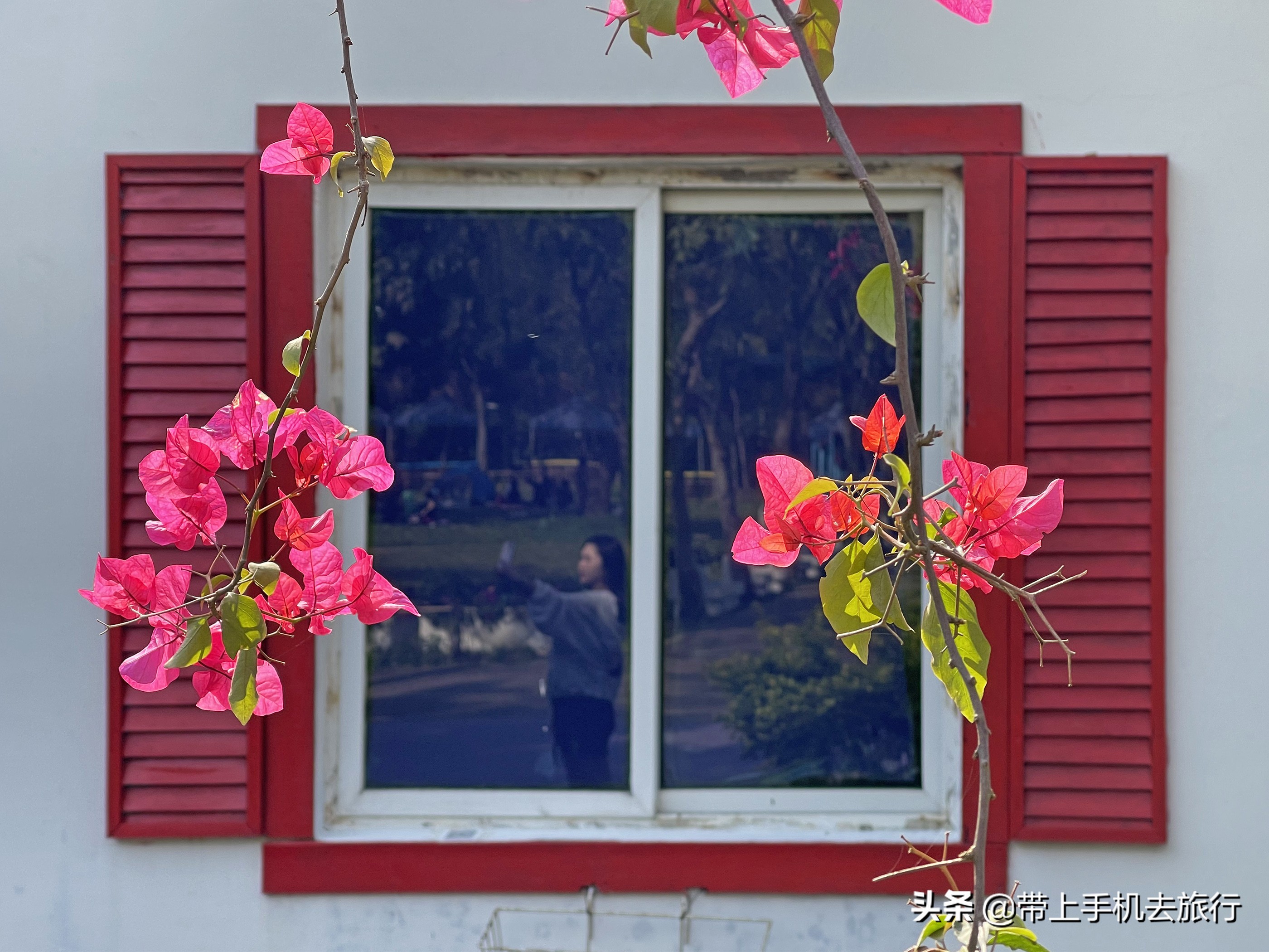 手机摄影怎么样用专业模式,手机摄影是怎么搞的