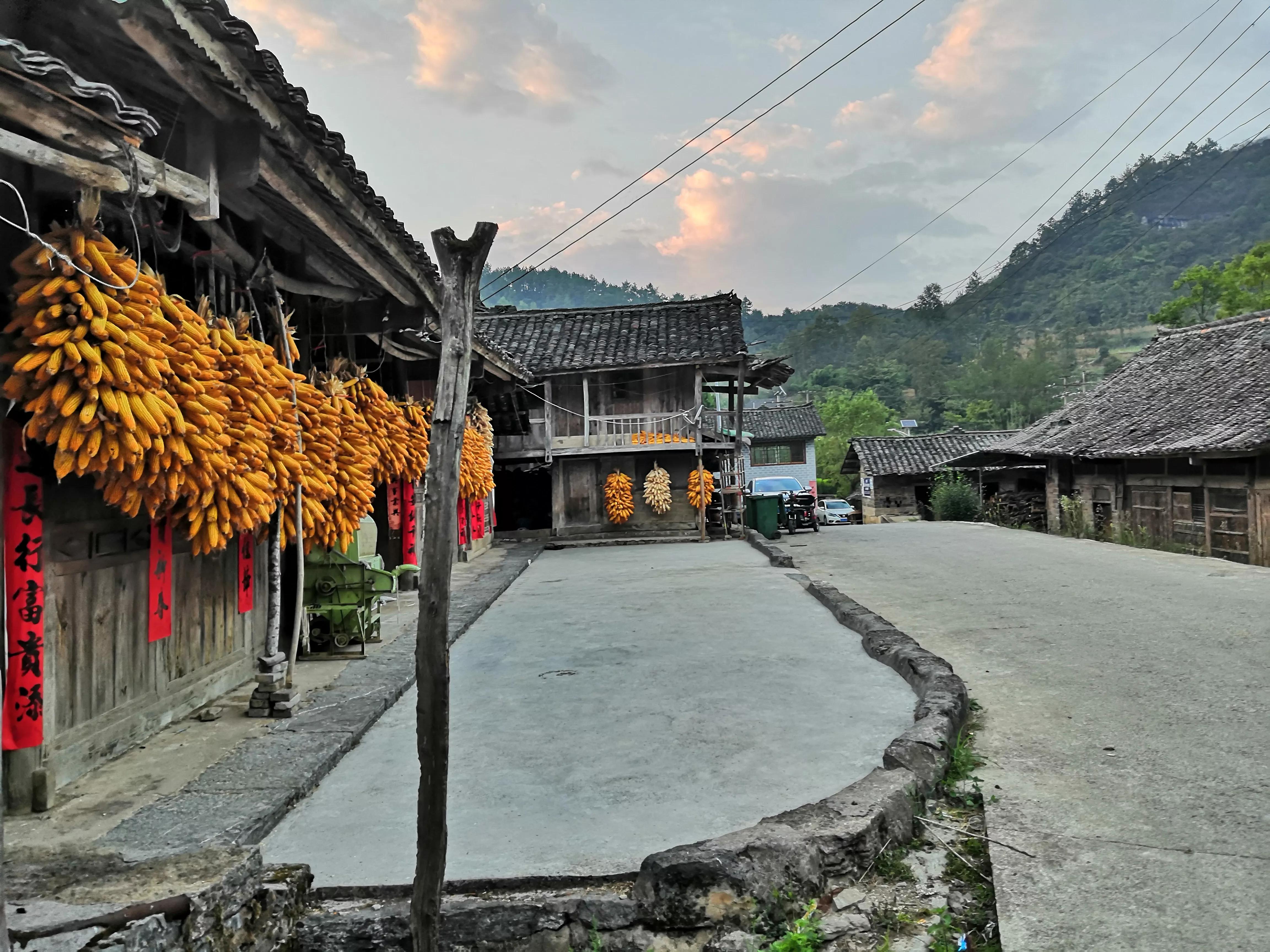 供销社是什么编制,供销社是什么性质单位