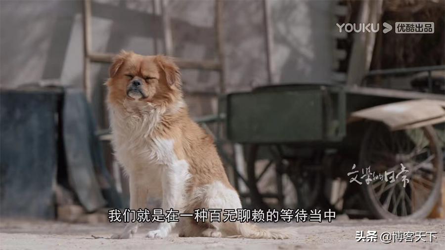 这个节目又慢又长，为啥能拍第二季？