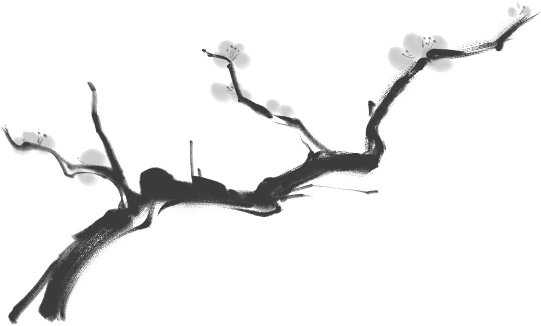 大道恒美×睿谷生态：大品牌战略，赋新生活方式营销