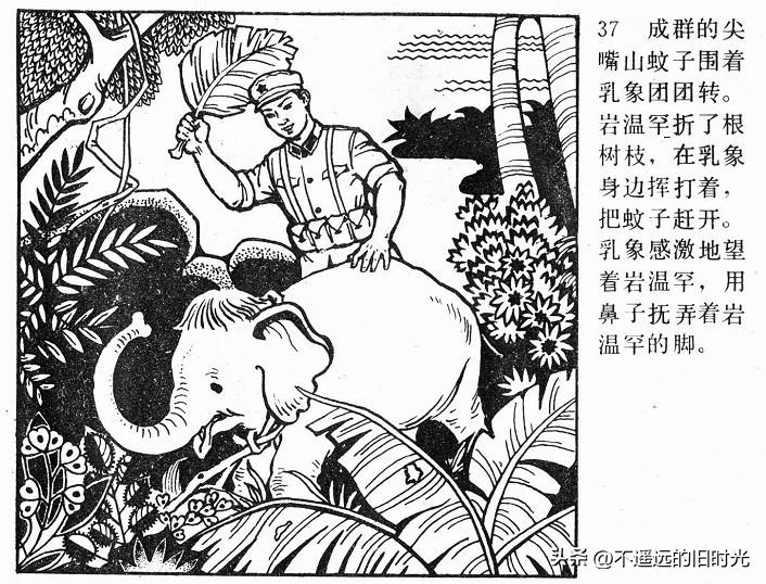 大象搬家,大象搬家河北