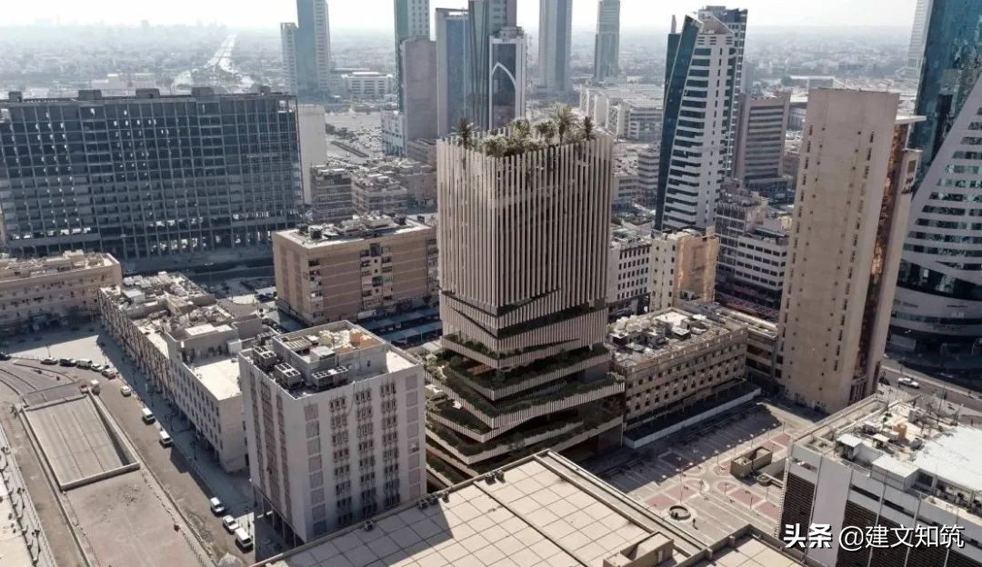 waf2023世锦赛,waf国内排名