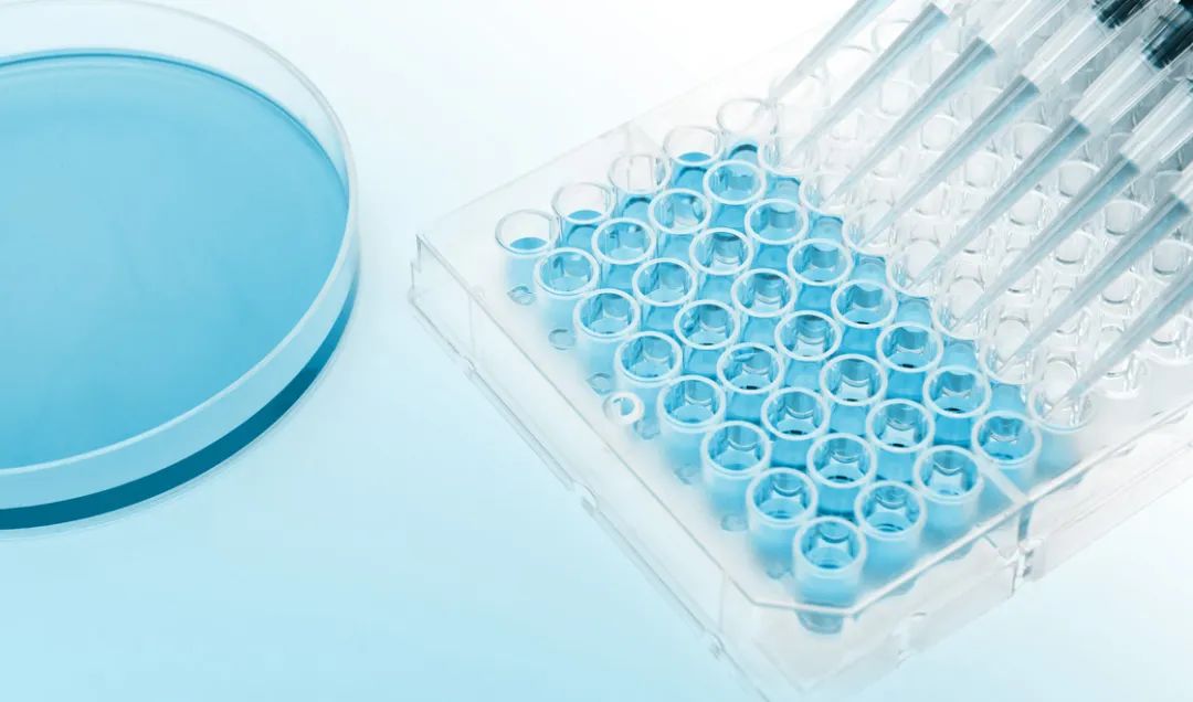 k树脂价格,k胶树脂