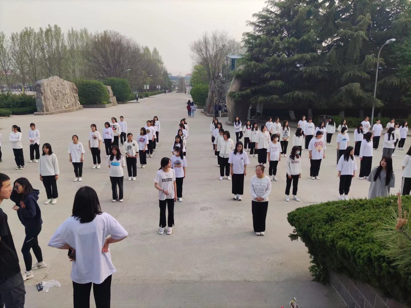 专科和中专哪个学历高,中专毕业生怎么读专科