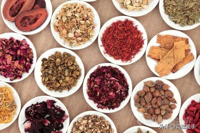 植物为什么可以治疗动物的疾病？