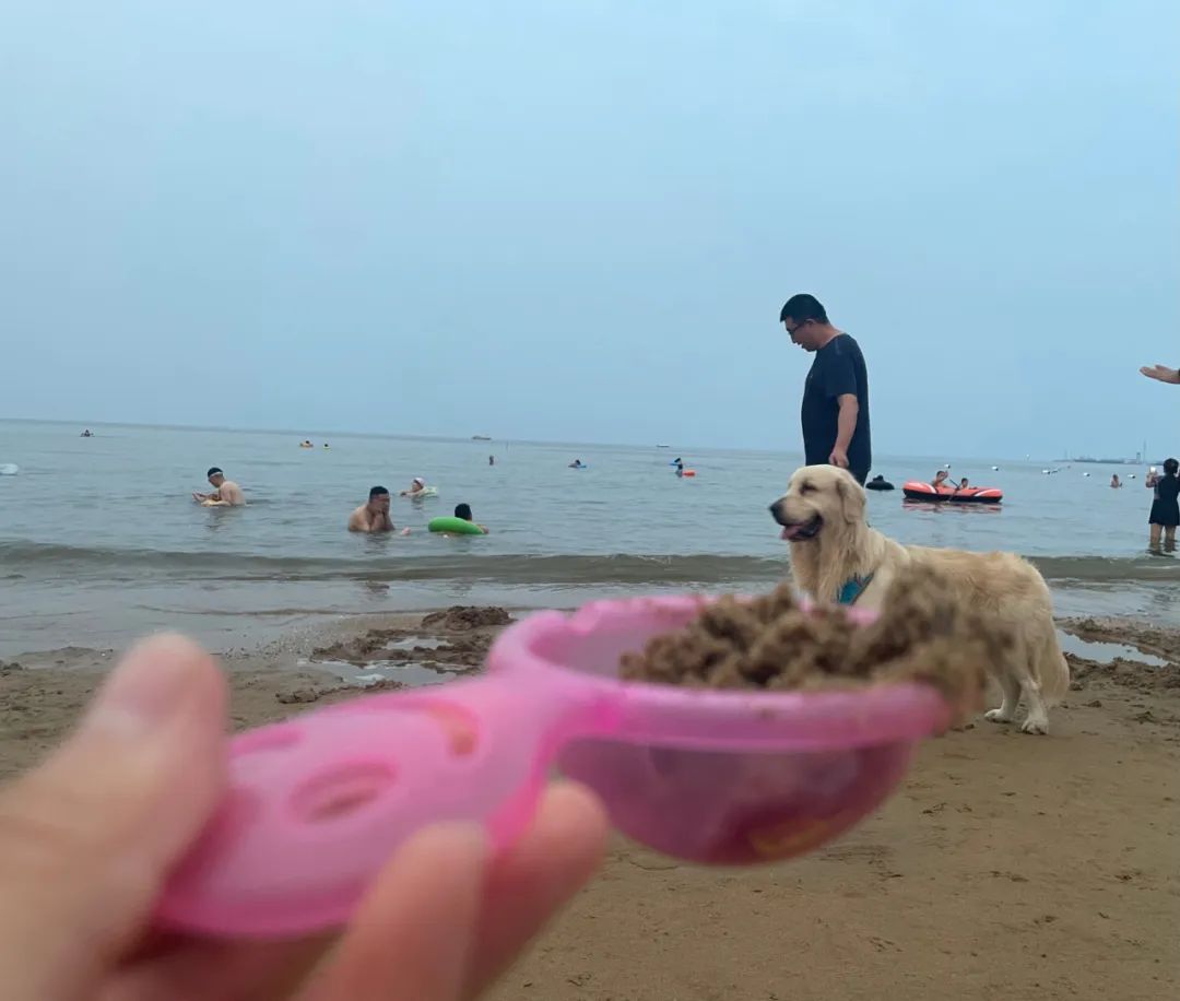 东戴河什么季节旅游好,夏天去东戴河住哪里好