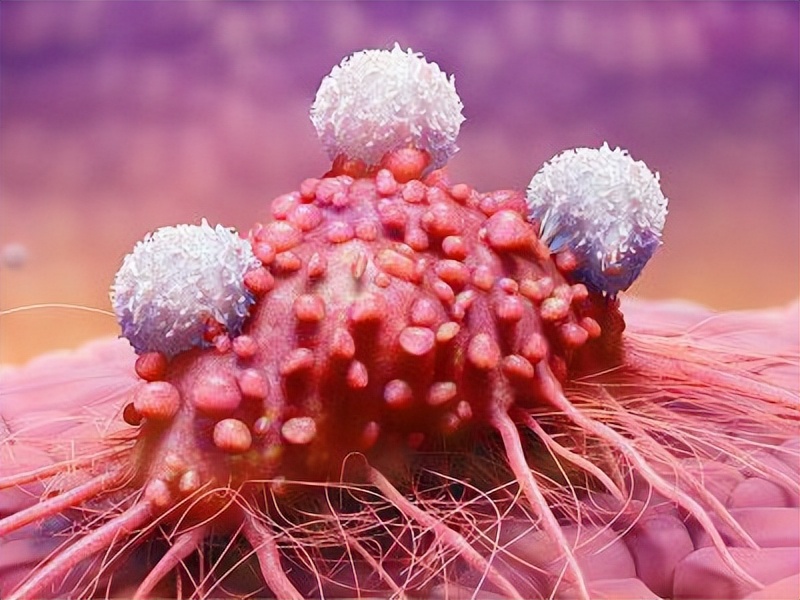 哪些疾病能通过性传播,六种疾病不能乱治