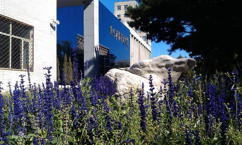 6所农林类211高校值得报考吗,西北农林压线进能上什么专业