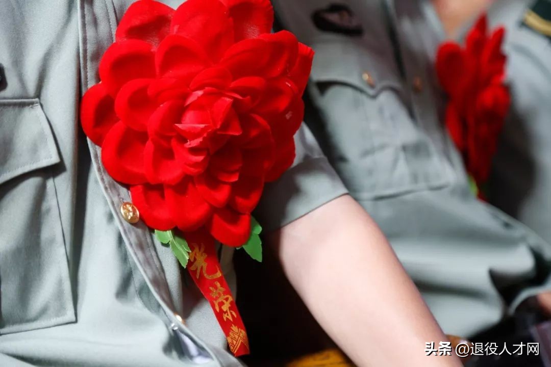 中专学历退役如何提升学历,五年退役有哪些出路初中学历