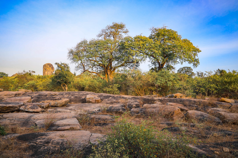 斯里兰卡旅游攻略必去景点,斯里兰卡旅游攻略最佳时间