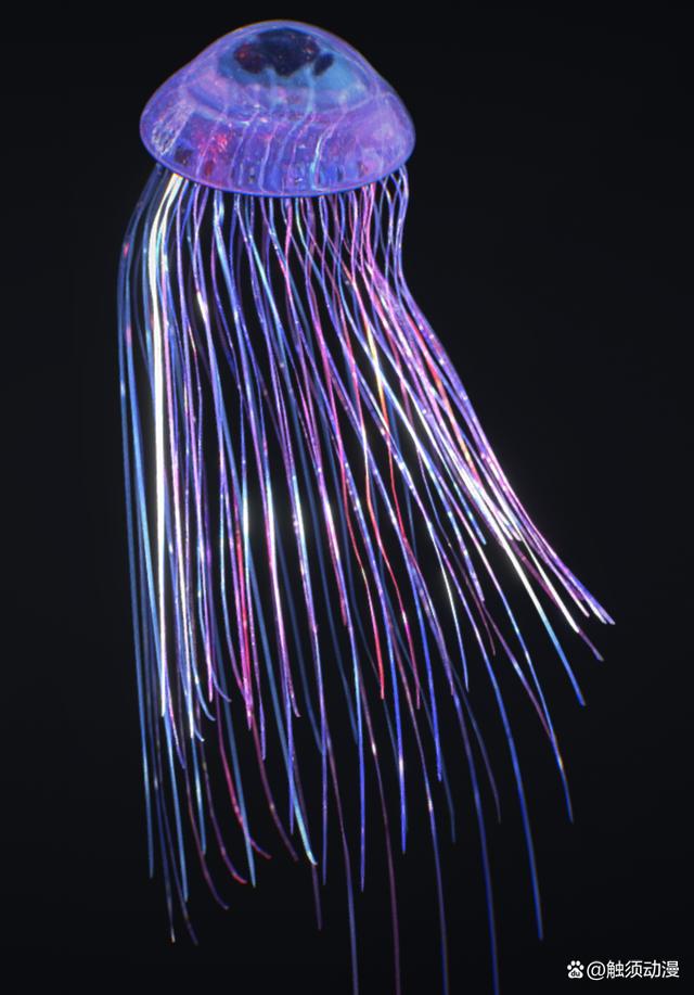 触须大叔不是“八爪鱼”,触须精灵也不是日本邪恶漫画里的淫怪