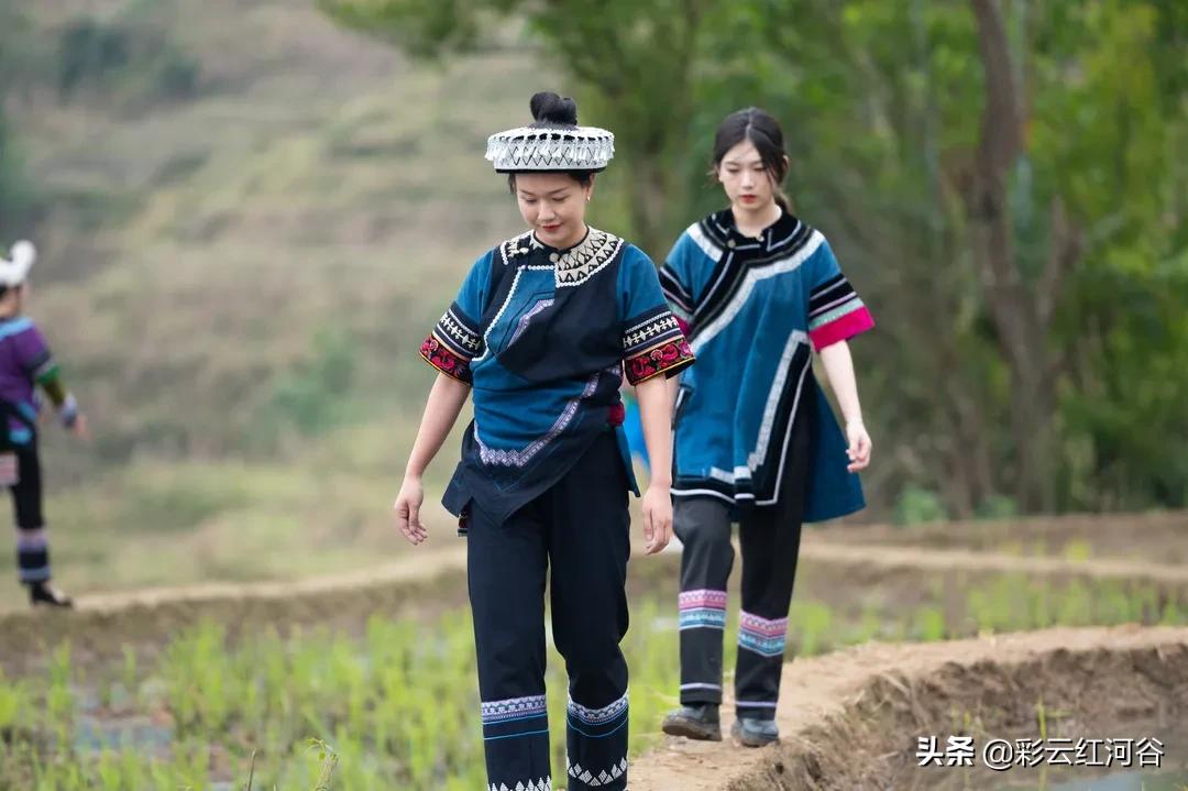 红河州有几个少数民族,红河县有哪几种民族