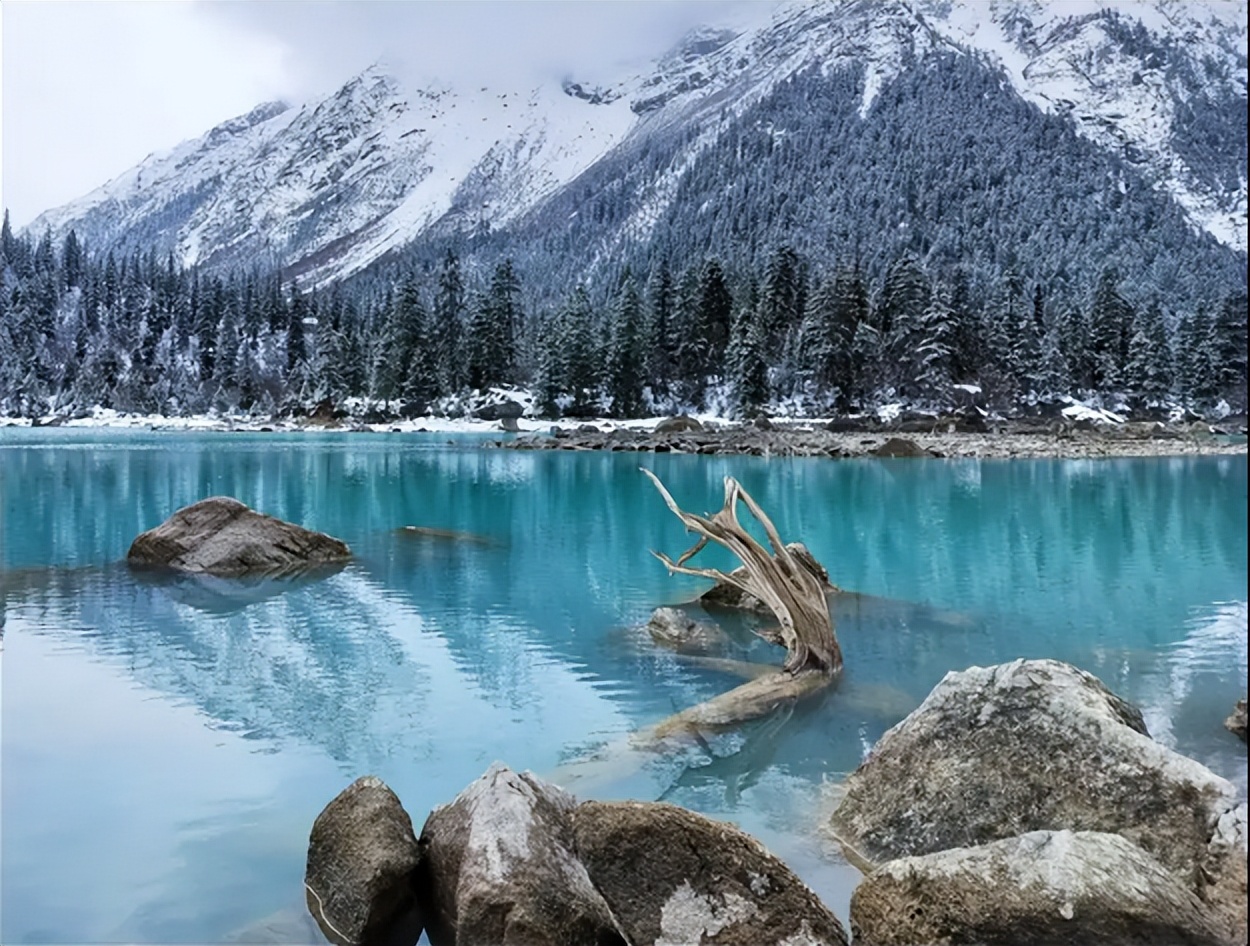 oppok11x双模5g长寿版,oppok11x5g有广角镜头吗