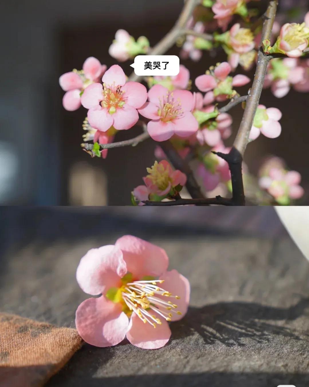 江苏发现一户人家太会装修而走红,安徽房屋室内装修隔断效果图