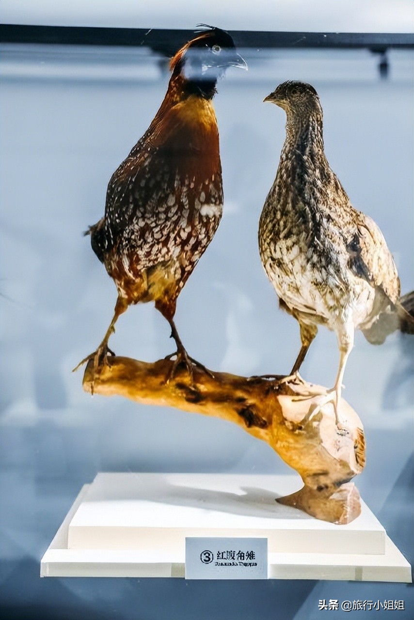 夏日海边浪漫迷人,滨城风光秀丽浪漫气息爆表