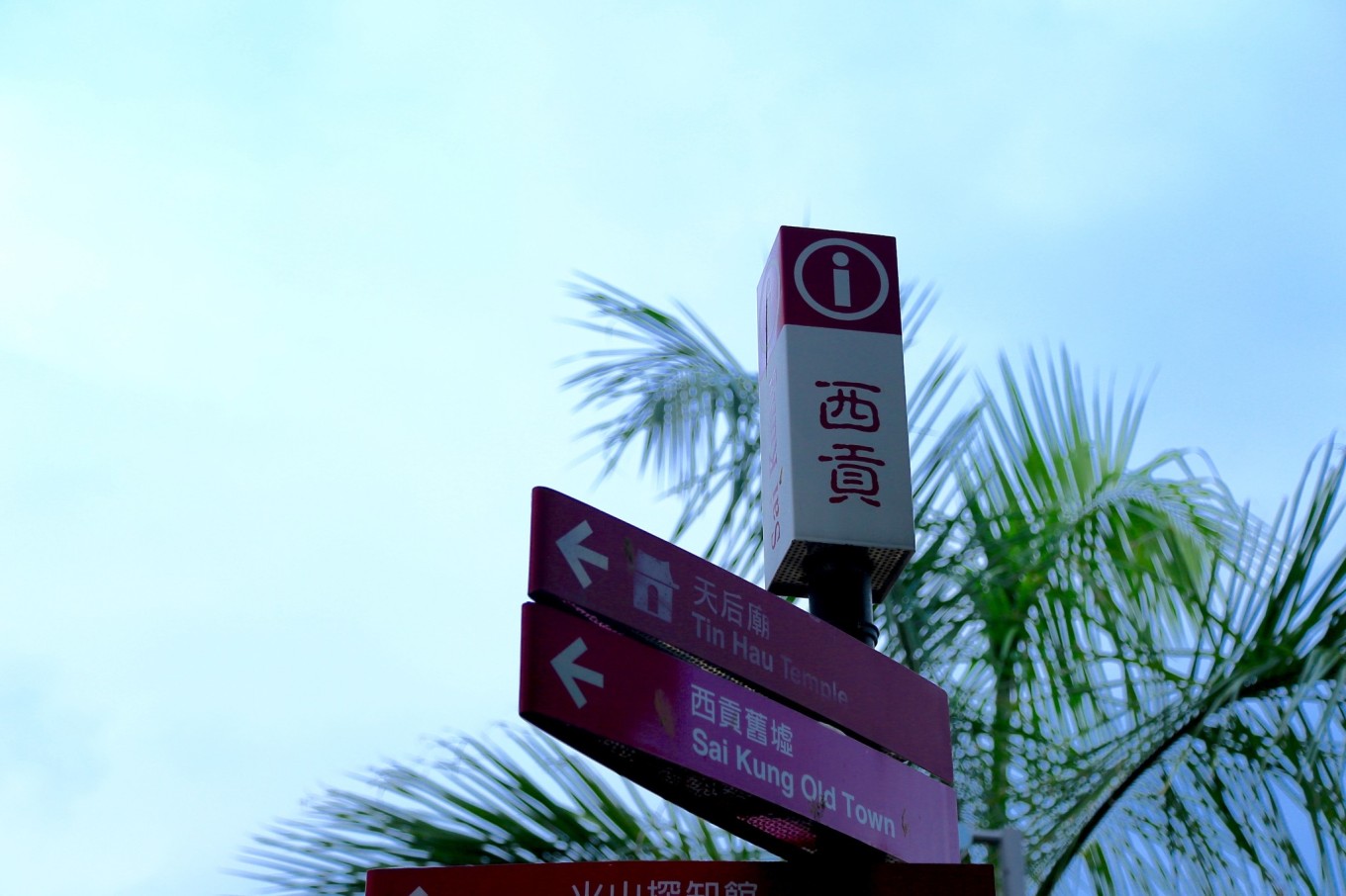 第一次去香港哪里打卡,第一次去香港玩必去的景点