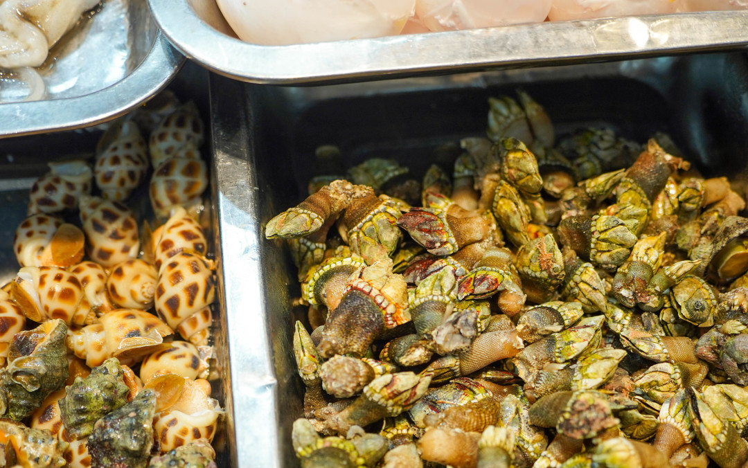 火速收藏！这里有一份中国吃螺图鉴