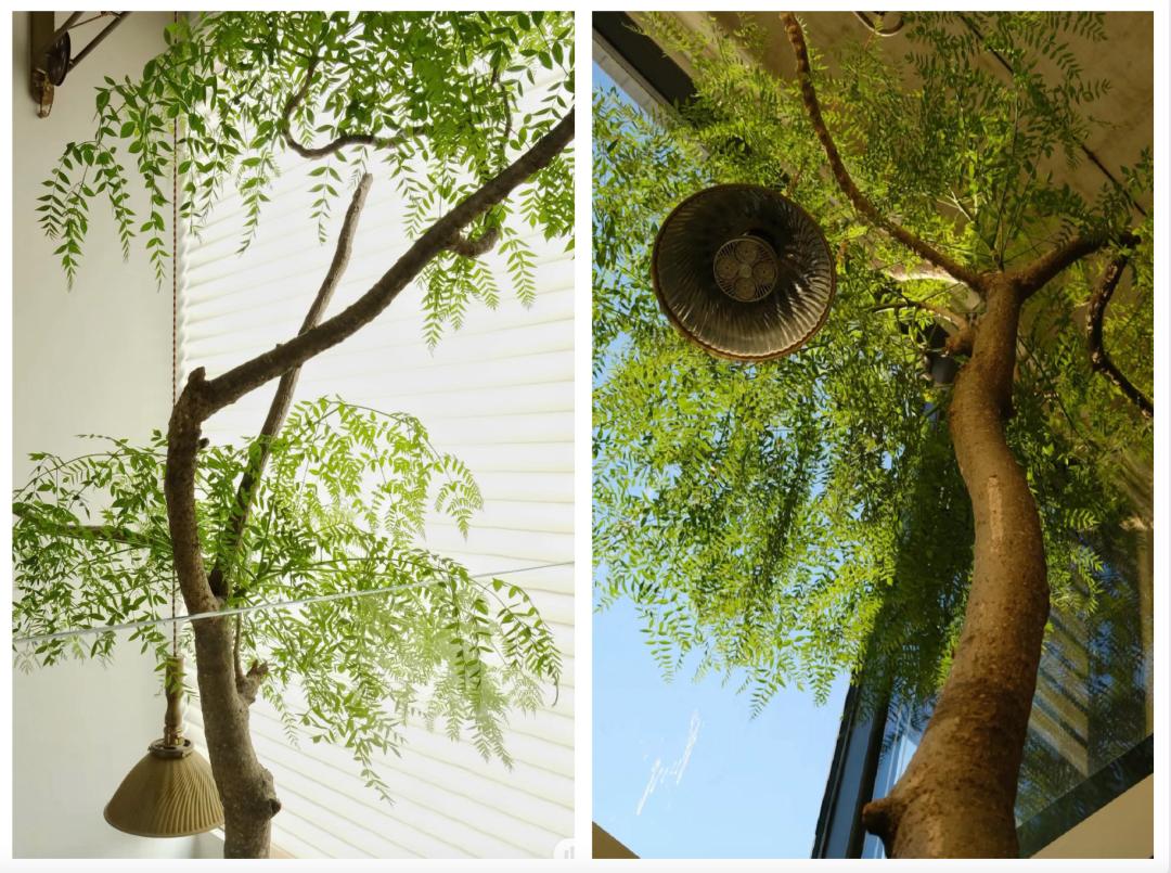 四个人回老家改造老房子,90后回农村建房子视频