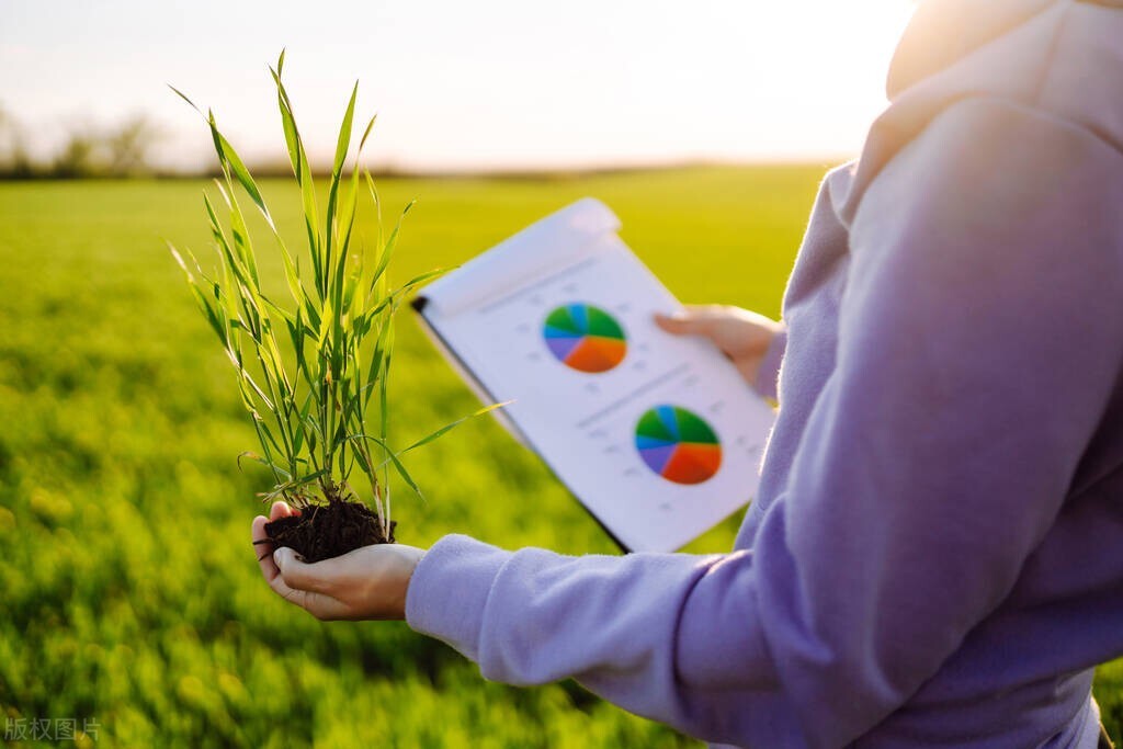 农业企业建高标准农田有补贴吗,2024年的农业农田补贴政策