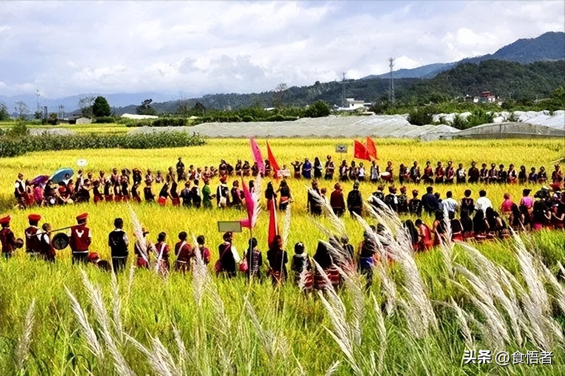 蒙古族的民族特色美食,蒙古族最具有特色的民族的美食