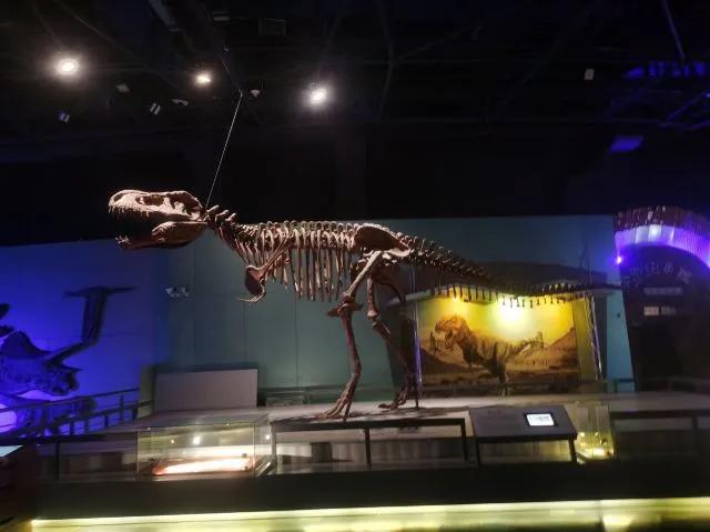 常州中华恐龙园亲子游玩攻略,常州中华恐龙园带娃攻略