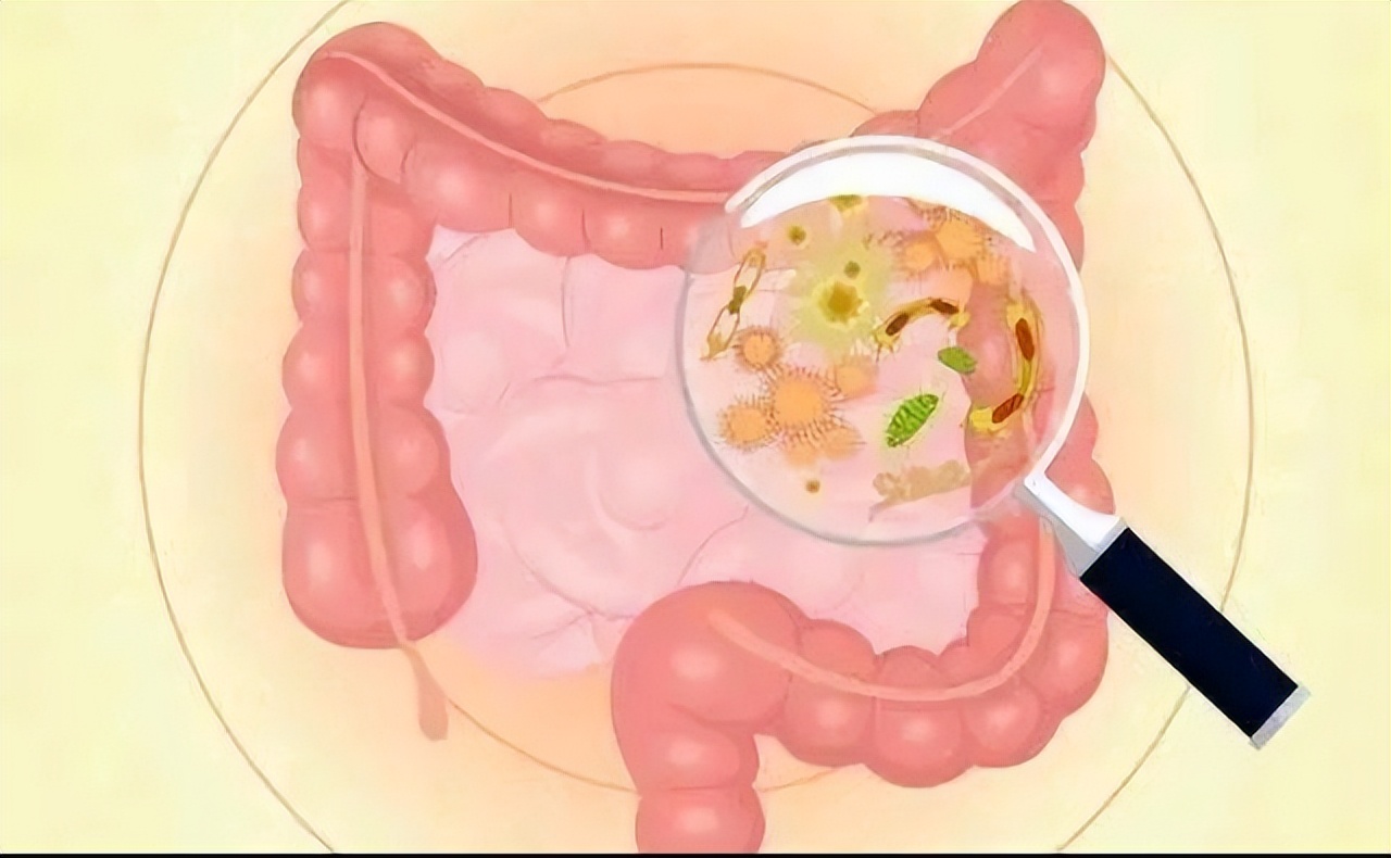 大便前头干硬后边软粘是怎么回事,大便前头干硬后边软