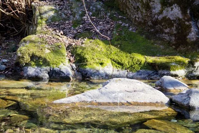 冬天寻访秦岭大峪，不但还有古道遗迹可循，还能见到这条野生广告