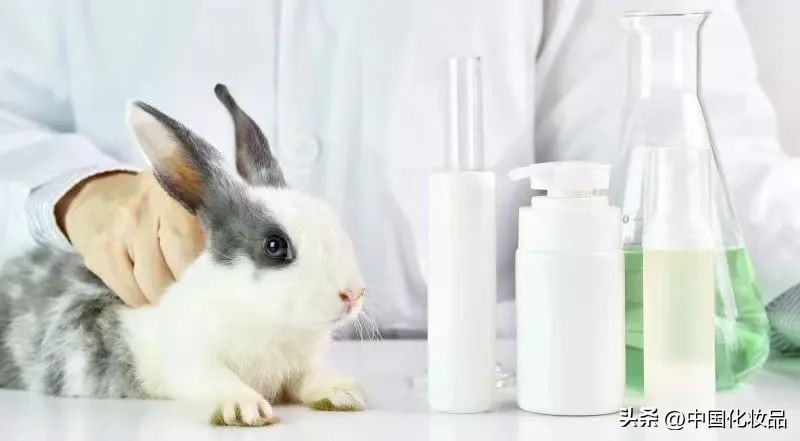 这个风靡海外千亿赛道，何时在中国爆发？丨看海外