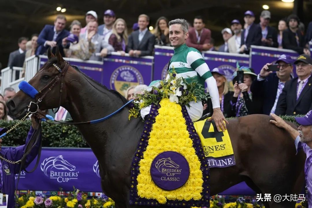 21世纪最伟大比赛,20世纪美国100匹顶级赛马排名