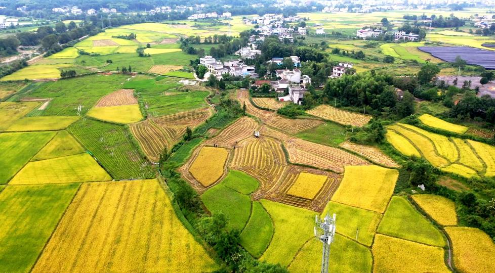湖北与湖南交界的湖是什么湖,为何一湖相隔的湖北湖南差异巨大