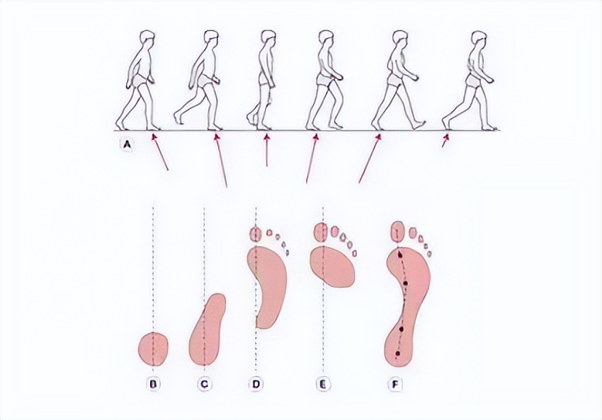 踝关节康复斜板站立训练方法,如何锻炼韧带保证踝关节稳定性