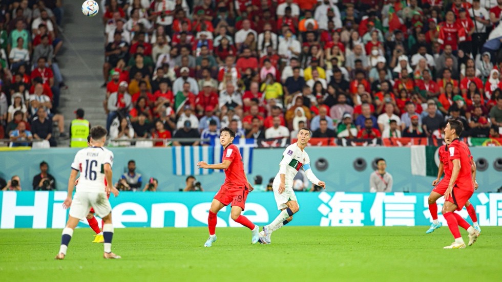 球迷在卡塔尔遇见酋长儿子,陈梦现身世界杯训练馆