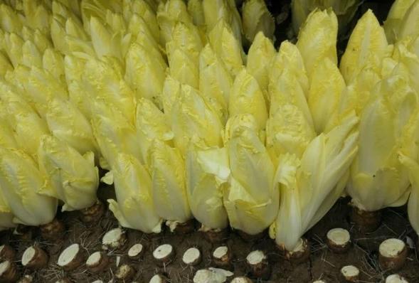 大叔放弃自己的行业,大叔放弃自己的事业