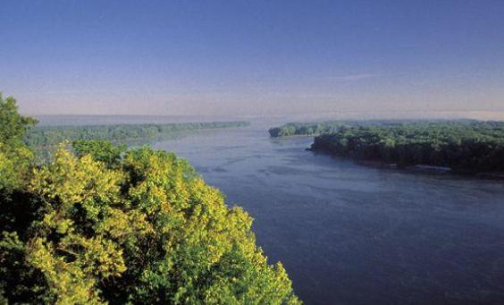 詹姆斯麦迪逊加点,詹姆斯怎么评价麦迪逊