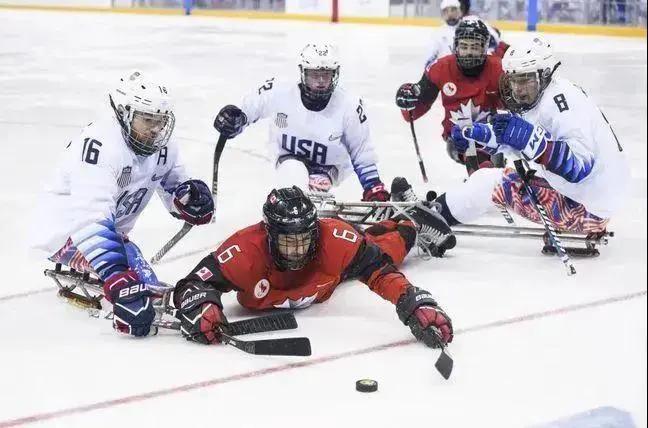 冰球运动哪一个部位是犯规的,冰球中的恶意犯规底线