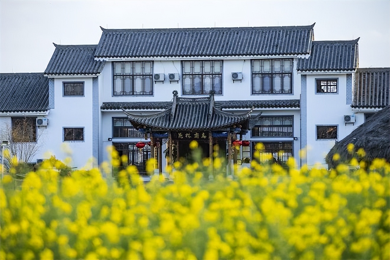 最美民宿楚雄,楚雄可以看风景的民宿