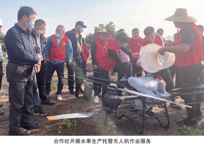 为农服务能力提升,提高文明服务促进供销社优质发展