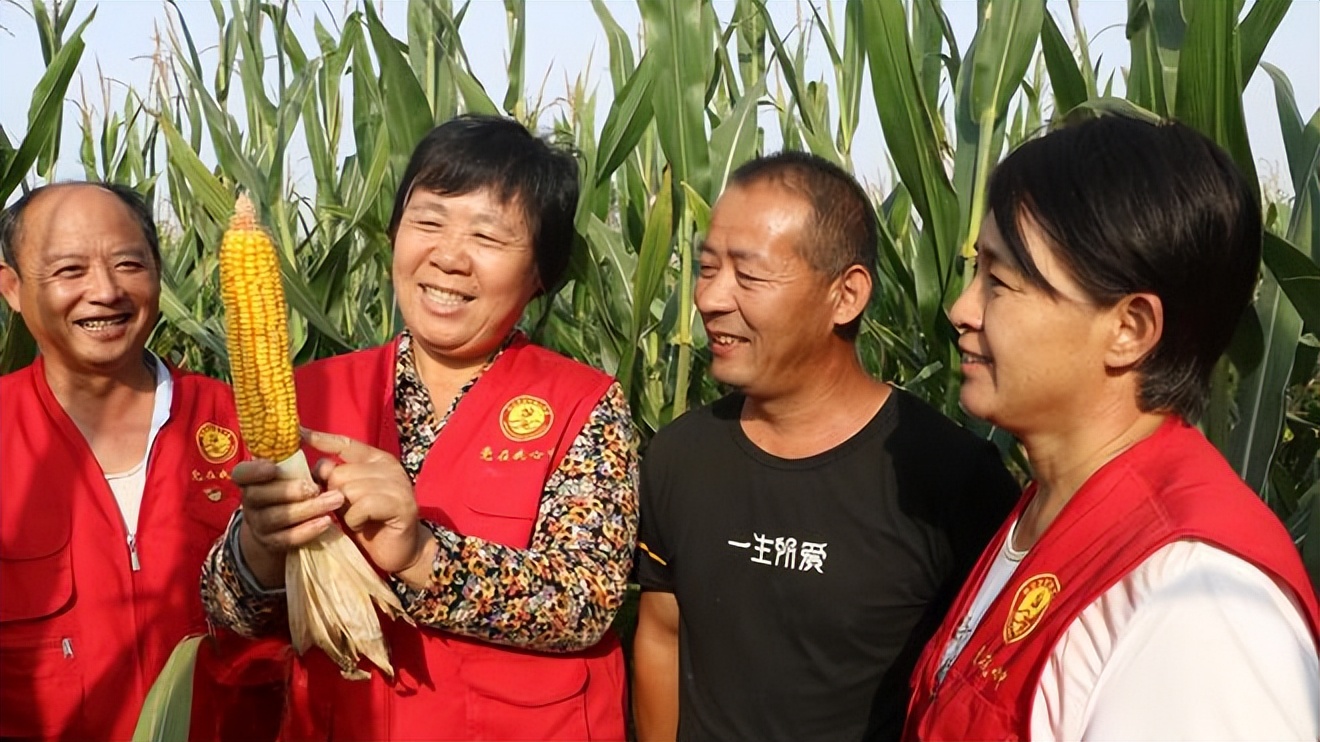 两会对农民的六条建议,村干部谈农村工作的意见和建议