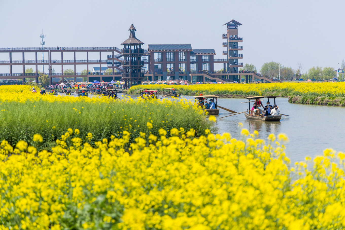 春日下江南杭州,春日下江南古镇