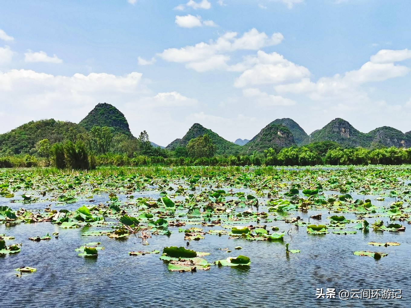 「流离在核酸检测时代的旅行」(普者黑）