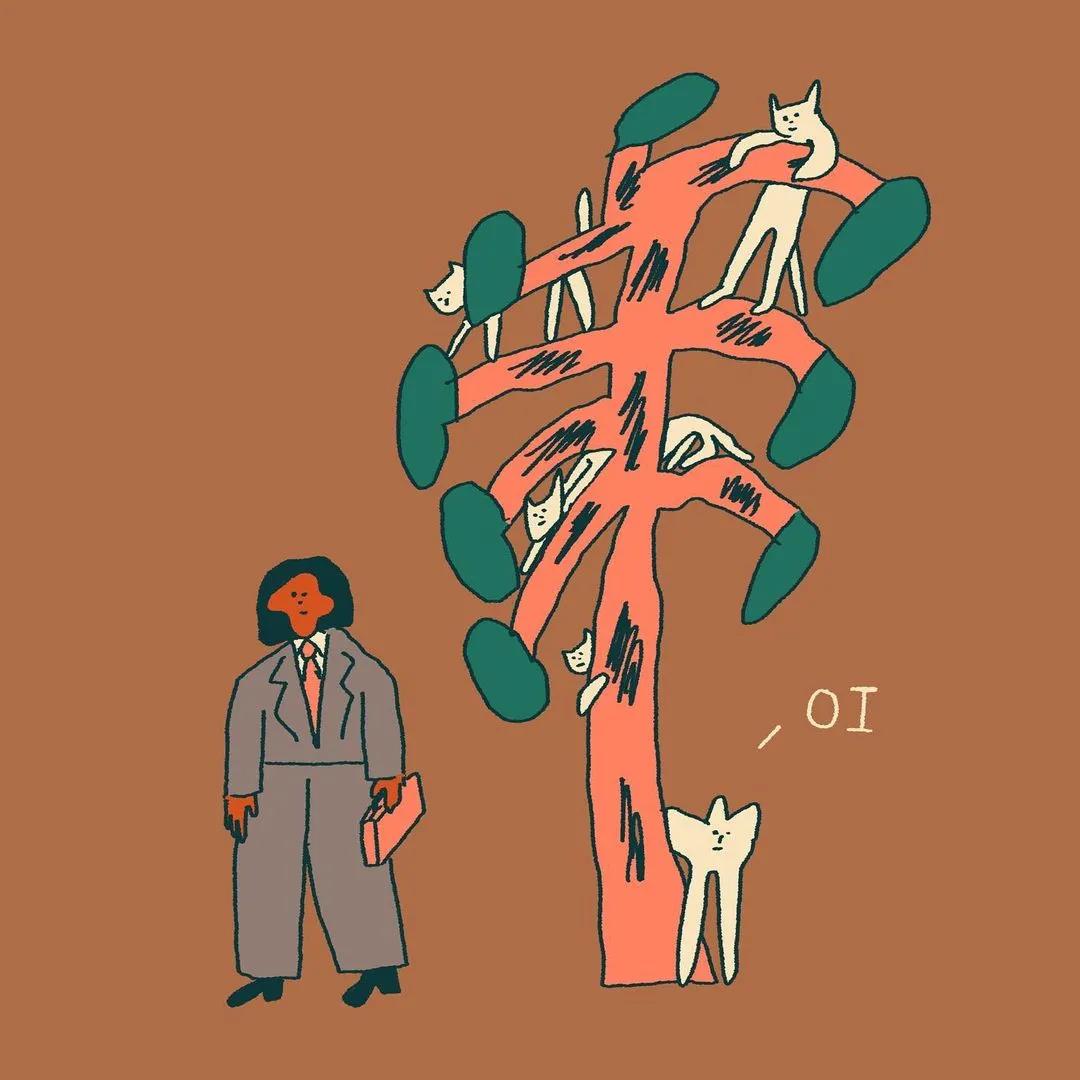 北上广没有养猫自由,四五线爸妈「接盘」