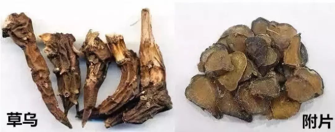 云南一年四季都有野生菌中毒的吗,云南吃野生菌中毒回家回锅