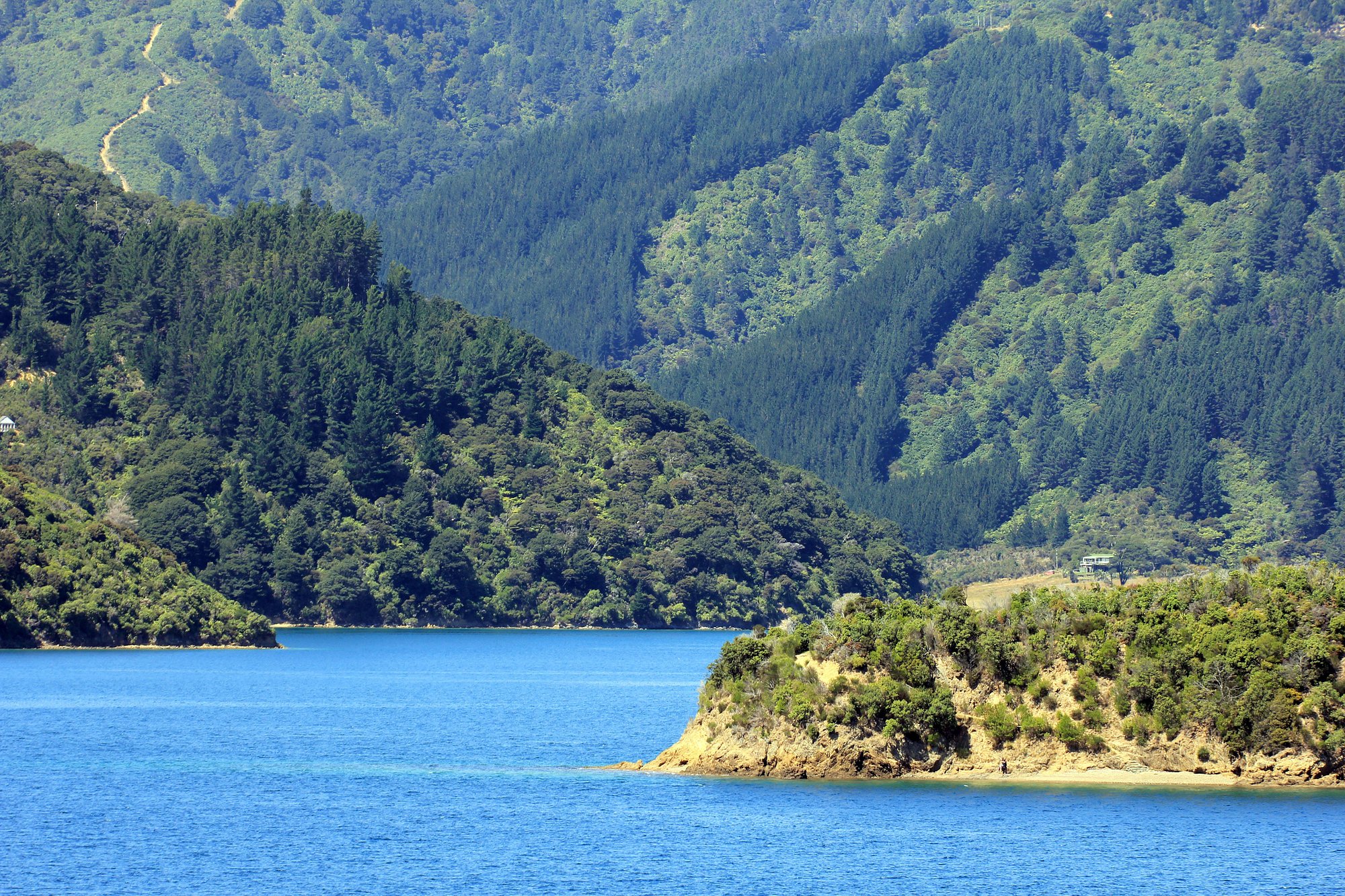 新西兰真实的视频,新西兰最新生活真实状况