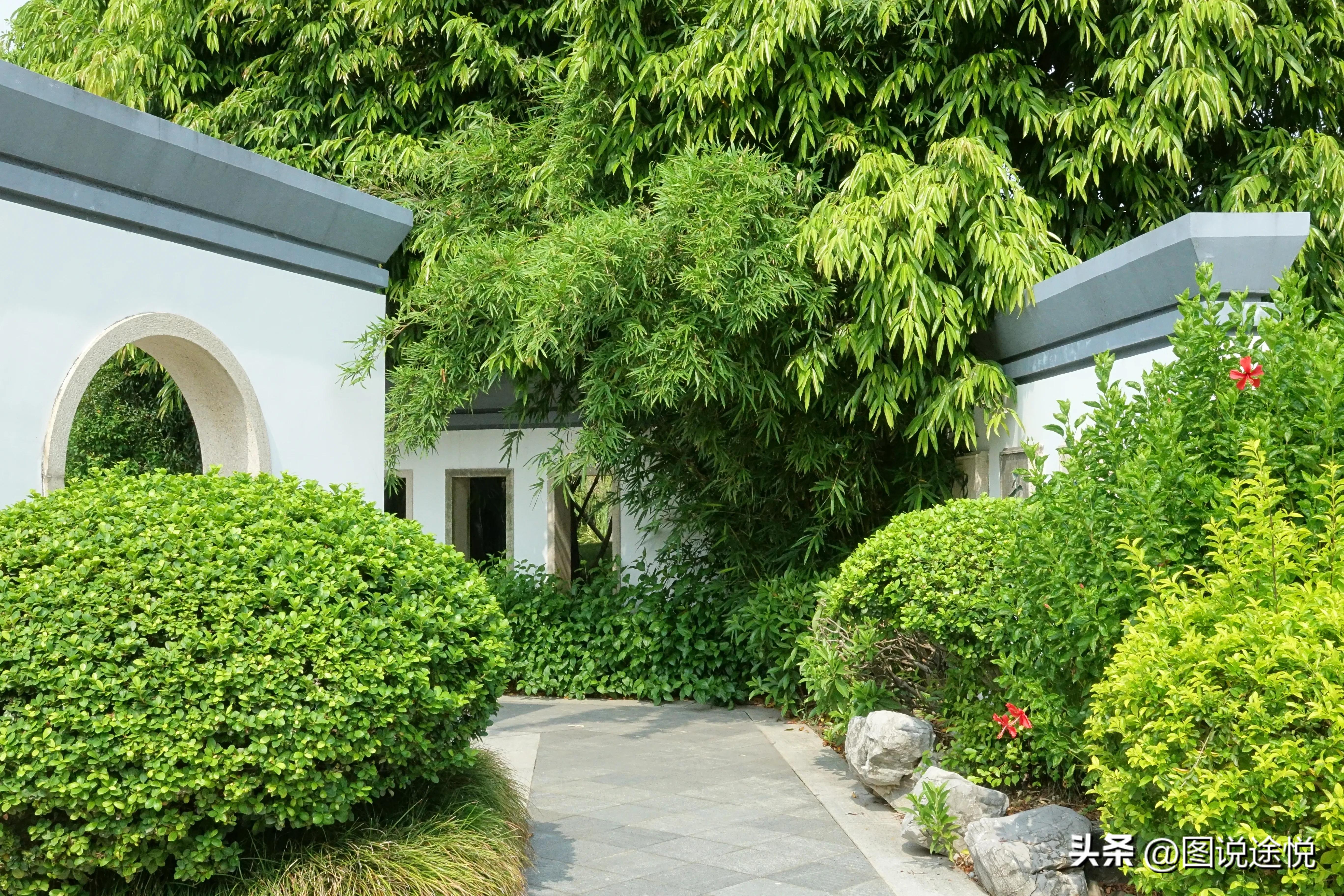 厦门园博苑有哪些风景,厦门园博苑海上大观园