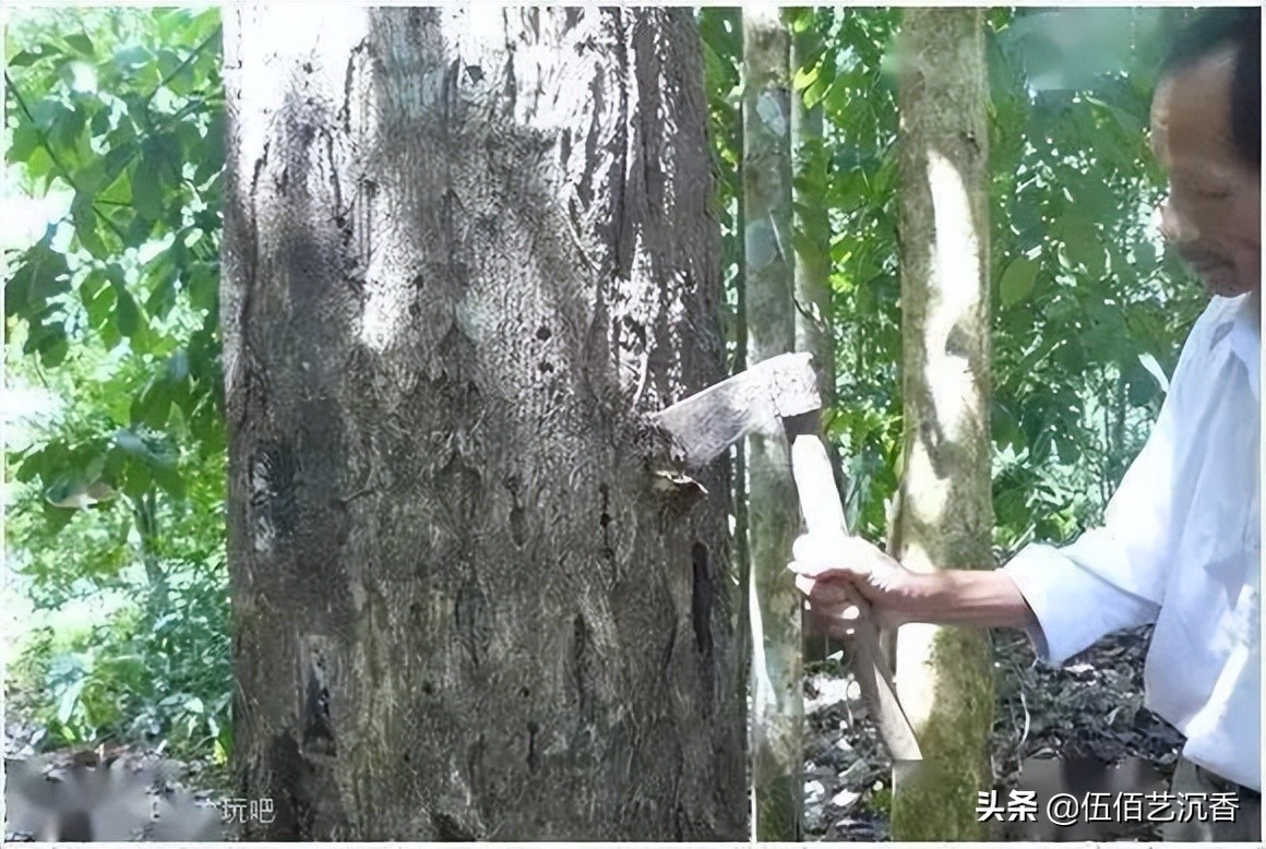 沉香造假最新视频,沉香造假的手法