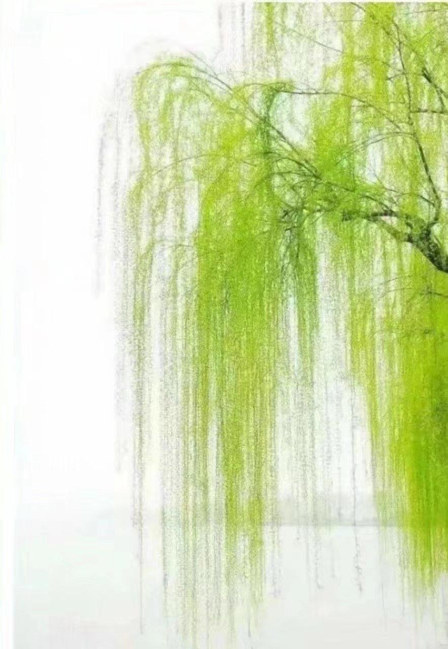 璇楅煹椋炴壃璇楄瘝澶у叏,璇楅煹椋炴壃鍘熷垱璇楄瘝