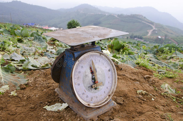 土壤在农业可持续发展的作用,可持续农业土壤管理