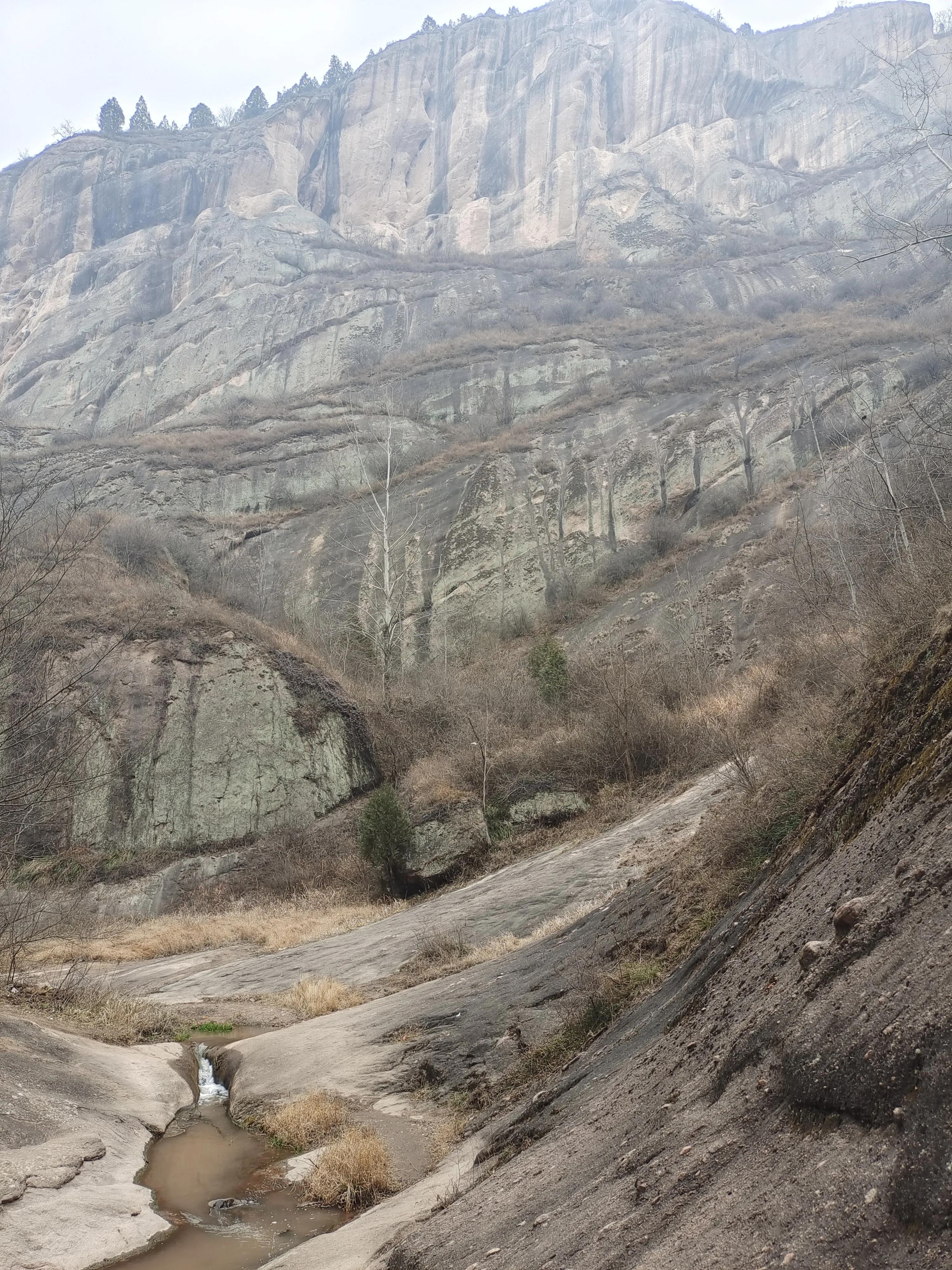 尼康调出油润感,尼康油润点的镜头