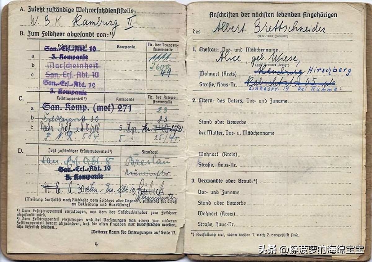 二战时德国军人的肩章,二战德国兵种领章